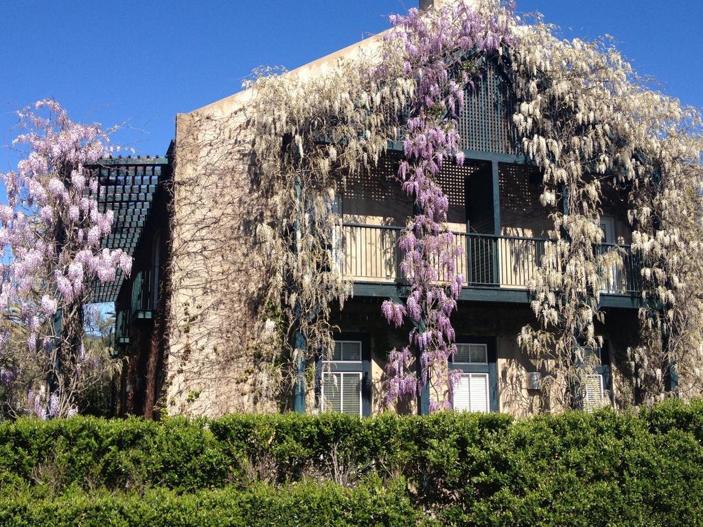 Southbridge Napa Valley 세인트 헬레나 외부 사진